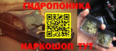 индика Мариинск