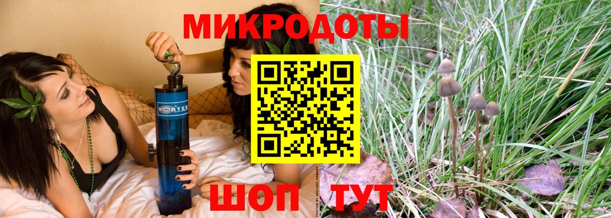Псилоцибиновые грибы Psilocybe Вышний Волочёк